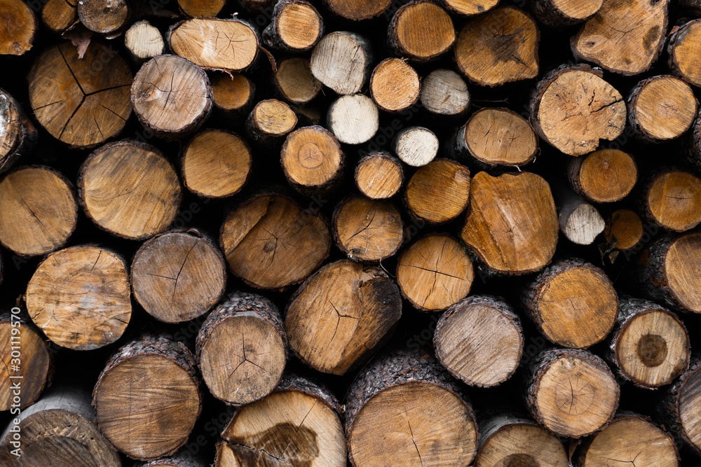 Firewood stacked and prepared for winter Pile of wood logs. Pile of wood logs ready for winter. Wood texture background have many logs that cut from big trees and small trees. Firewood stacked and prepared for winter Pile of wood logs. Pile of wood logs ready for winter. Wood texture background have many logs that cut from big trees and small trees.