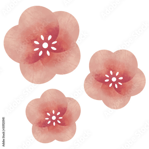 梅の花