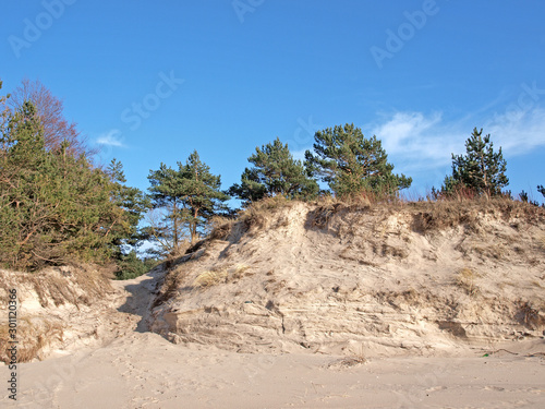 Coast dune