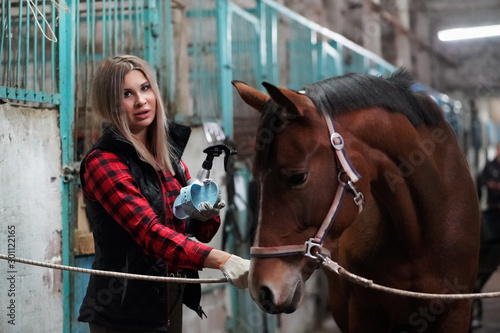 A beautiful girl in a red checked shirt brushes a brown horse in a stall