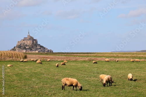 Mont-Saint-Michel mit Schafen