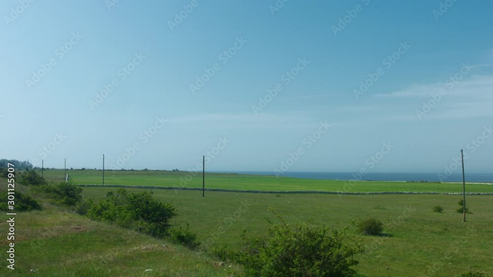 Telephone poles in a field. Telephone poles in a field.