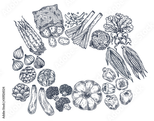 Farm vegetables on white background. Top view. Growing concept. Organic fresh vegetables. Autumn harvest. Vector illustration