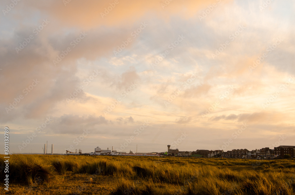 Fototapeta premium sunset over field