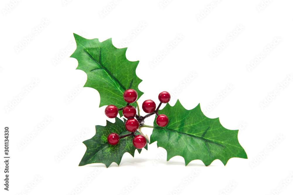 Fototapeta premium Holly berry leaves Christmas decoration isolated on white background