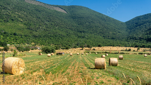 Rural landscape near Priverno, Lazio photo