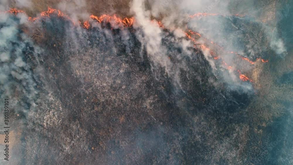 Strong fire in an empty field. Fire spreads in a united front, strong smoke from the burning place.