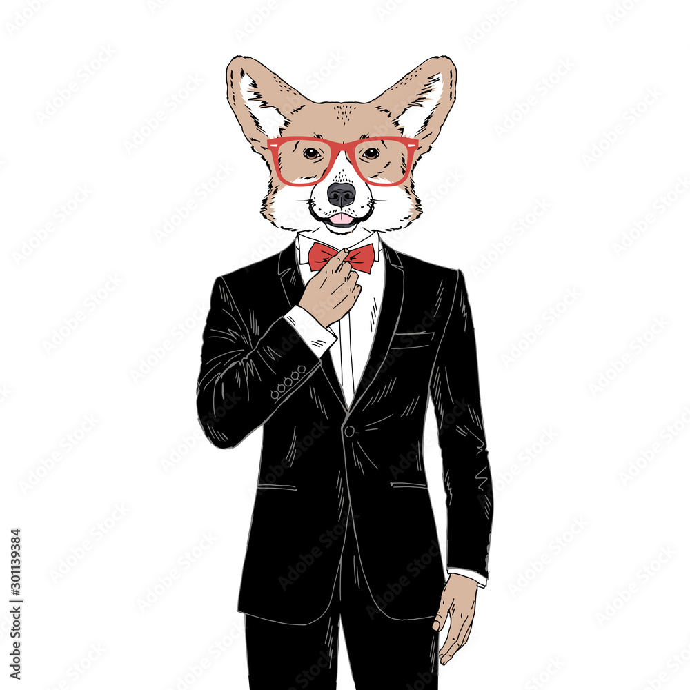 Humanized Welsh Corgi breed dog dressed up in classy outfits. Design for  dogs lovers. Fashion anthropomorphic doggy illustration. Animal wear tuxedo,  tie bow, glasses. Hand drawn vector. Stock Vector | Adobe Stock