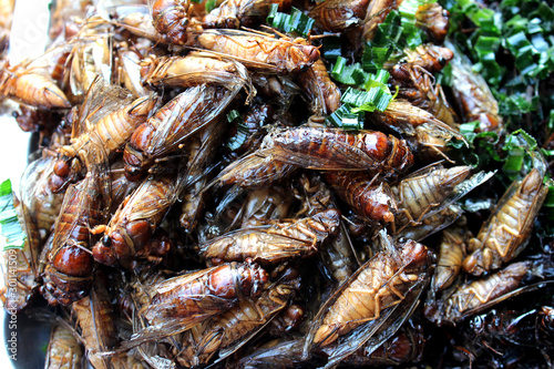 Fried Cicadas with herb placed on the stall for sale
