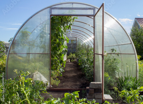 Greenhouse on small farm with plants