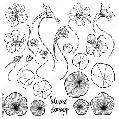 Nasturtium. Sketch.Hand drawn outline vector illustration, isolated floral elements for design on white background.