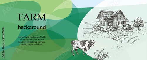 Cow and village house. An example of a backdrop for cattle farm.