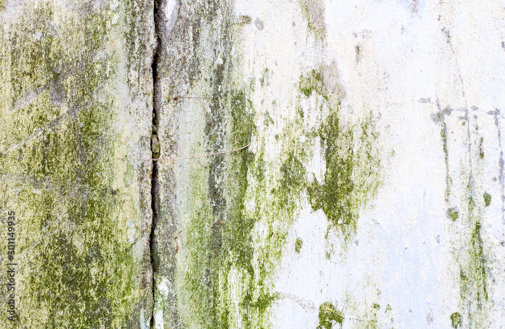 old brick wall, ready layout for design