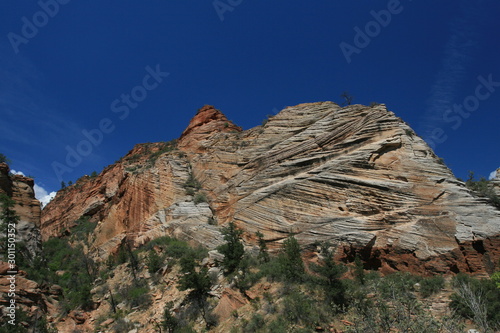 Zion National Park - Checkerboard Mesa -Utah, USA