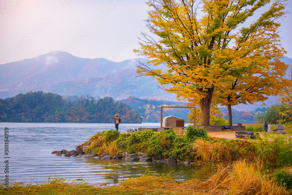 Obraz premium Color change leaves Dumulmeori, Yangsu at Seoul, South Korea.