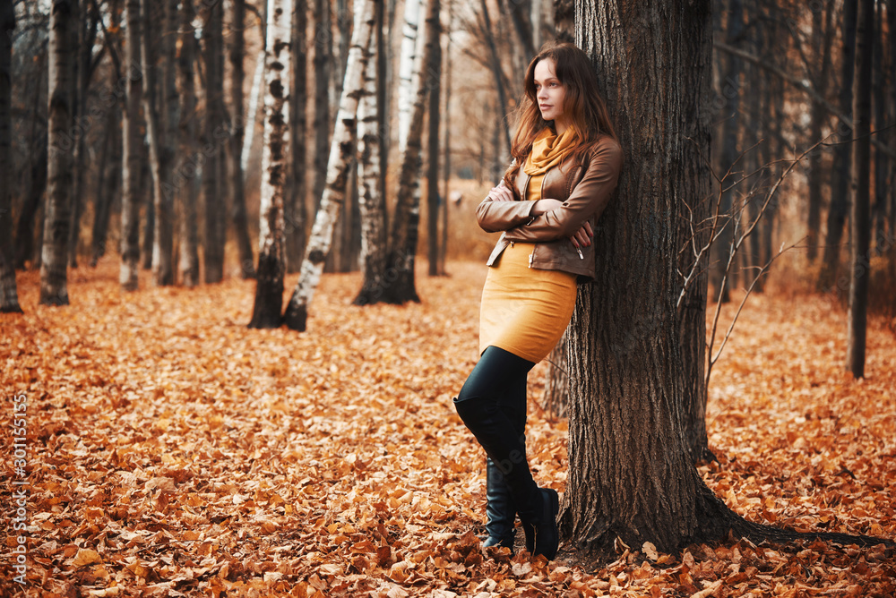 Pretty woman in the autumn park - obrazy, fototapety, plakaty 