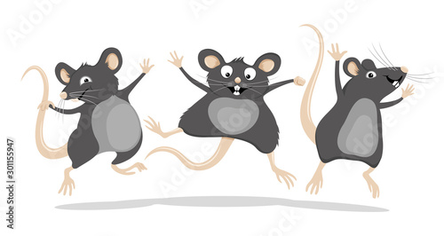 Three funny gray rats in a jump on a white background.