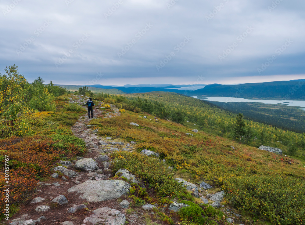 Man backpack hiker at Kungsleden trail admiring nature of Sarek in Sweden Lapland with mountains, river and lake, birch and spruce tree forest. Early autumn colors, blue sky white clouds.