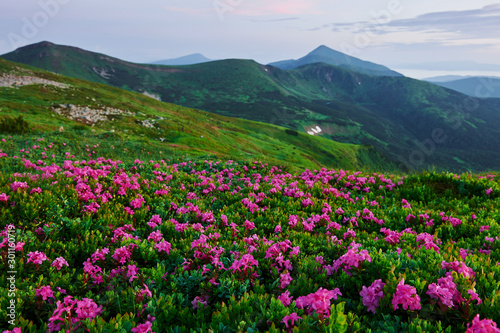 Majestic Carpathian mountains. Beautiful landscape. Breathtaking view