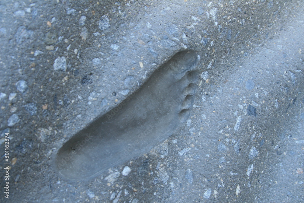 traces in the sand