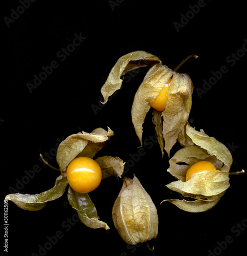 Details of Nature