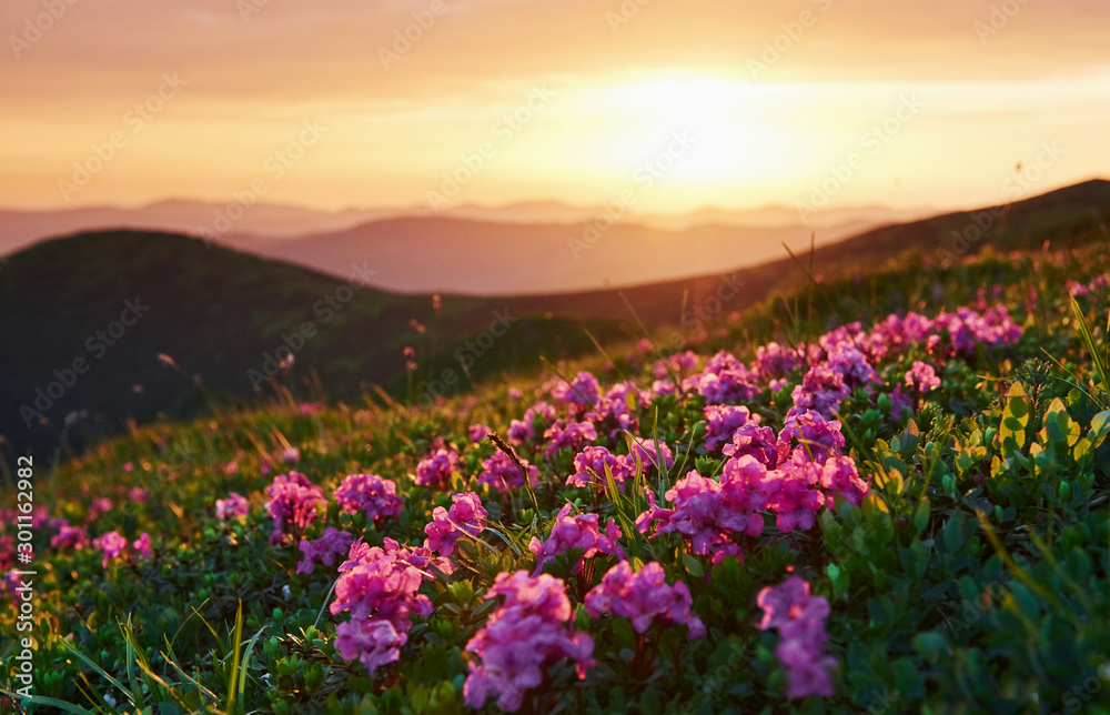 Nature and mountain background. Majestic Carpathians. Beautiful landscape. Breathtaking view Nature and mountain background. Majestic Carpathians. Beautiful landscape. Breathtaking view