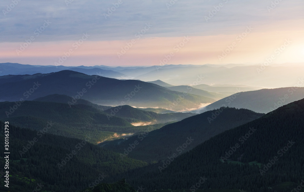 Big forest. Majestic Carpathian mountains. Beautiful landscape. Breathtaking view - obrazy, fototapety, plakaty 