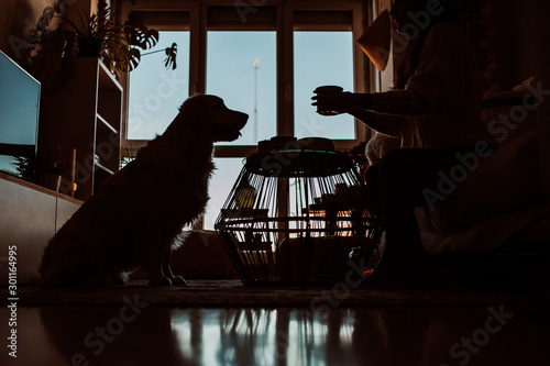 .Pretty young woman having an appetizing and healthy breakfast on the sofa at home on an autumn morning accompanied by her beautiful golden retriever. Lifestyle