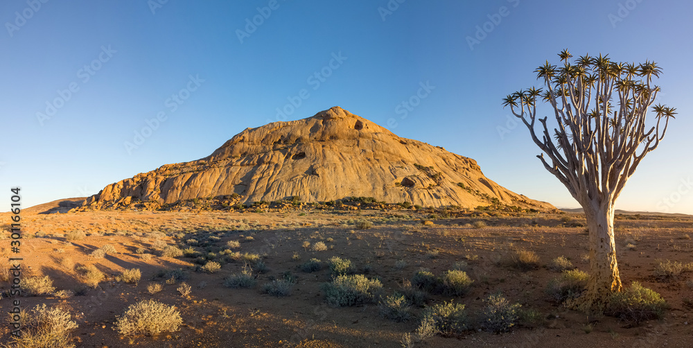 Fototapeta premium Blutkuppe camping site and quiver tree in Namibia