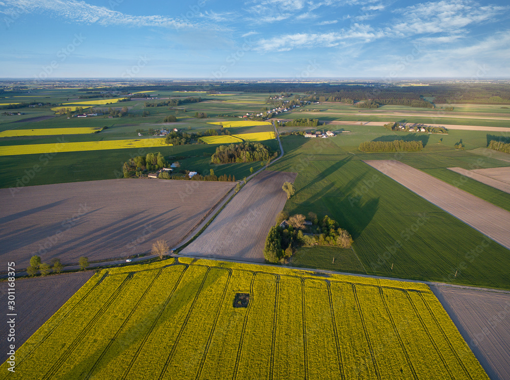 Aerial view of cultivated fields 10