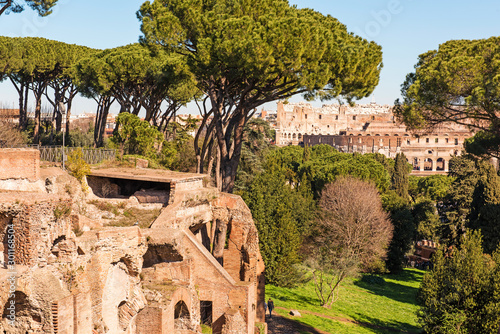 Fototapeta Naklejka Na Ścianę i Meble -  Ruins of Palatine hills in Rome and view on Coliseum, Italy