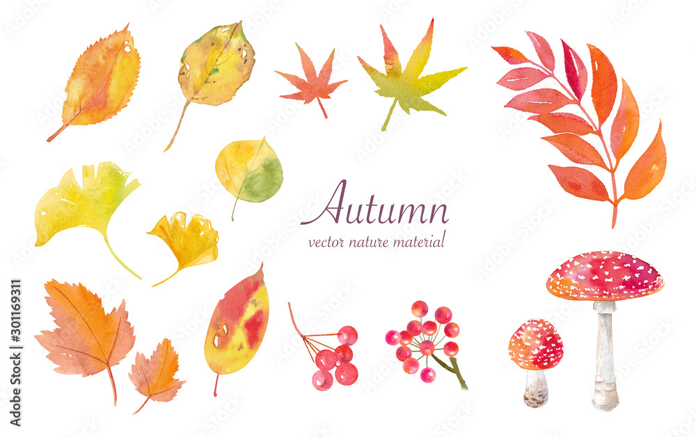 秋の自然素材水彩イラスト トレースベクター ナナカマド ベニテングダケ 紅葉 Stock Vector Adobe Stock