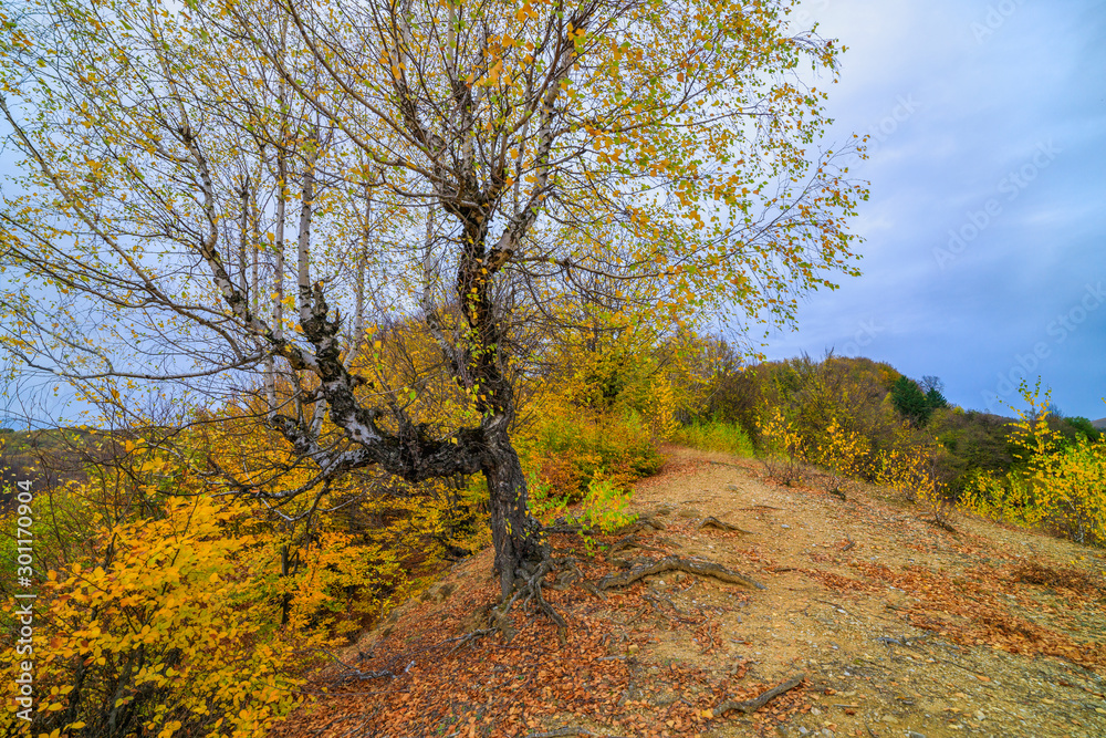 Beautiful Autumn Landscape on a November Day.