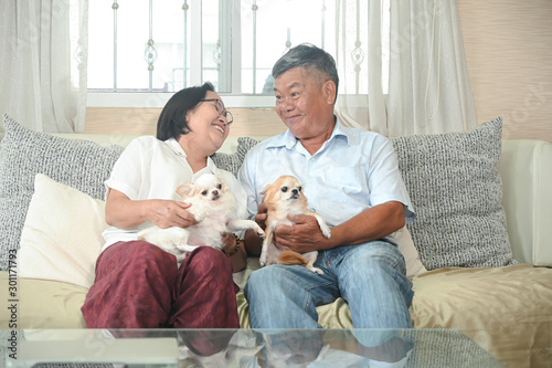 Elderly women and men smile happily on the sofa with dogs.