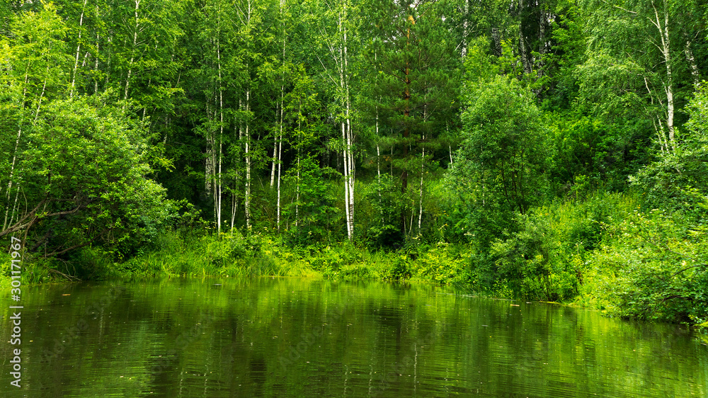 lake in forest