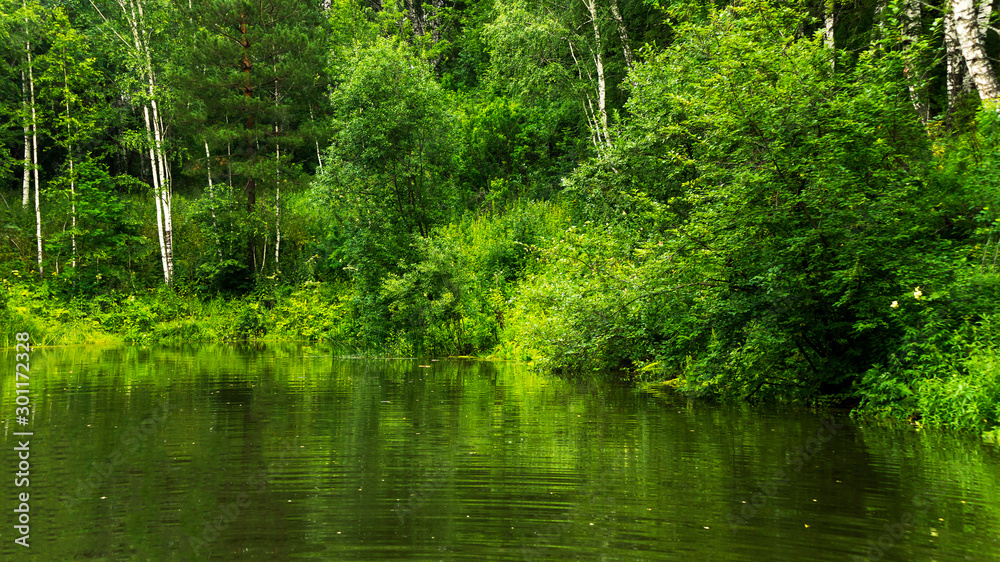 lake in the forest