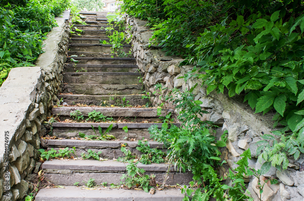 The image old stone stairs in the Park, overgrown with bushes and grass. The image old stone stairs in the Park, overgrown with bushes and grass.