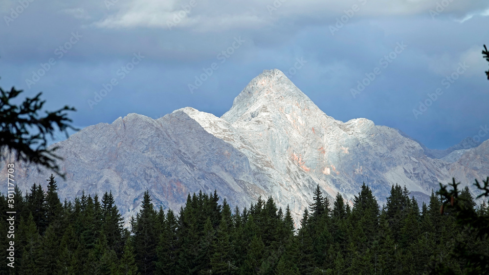 beautiful view to the alps in autumn with spruce forest in the foreground on a sunny day