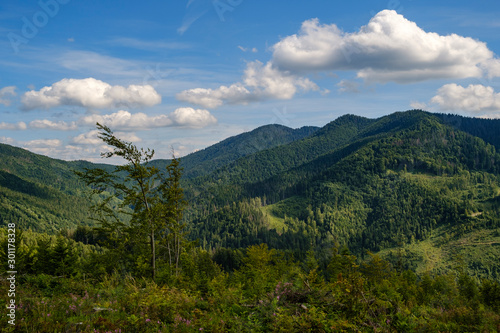 Beautiful landscape in Carpathian Mountains, Lviv region, Ukraine.