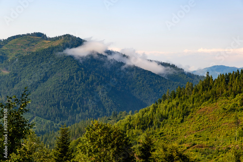 Beautiful landscape in Carpathian Mountains  Lviv region  Ukraine.