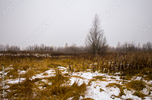 Fell the first snow lying on meadow in environment forests. Smolensk region, Russia.