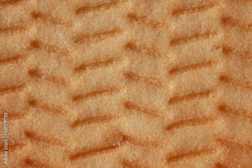Fotografie Piece of fresh sweet biscuit