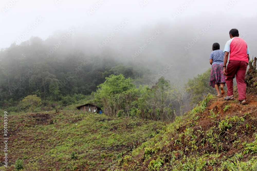 Fototapeta premium Indigenous farmers that cultivate milpa in the mountains (Guerrero, Mexico)