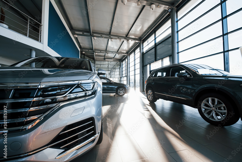 Obraz premium Brand new cars at dealer showroom. Perfectly polished. Natural lighting