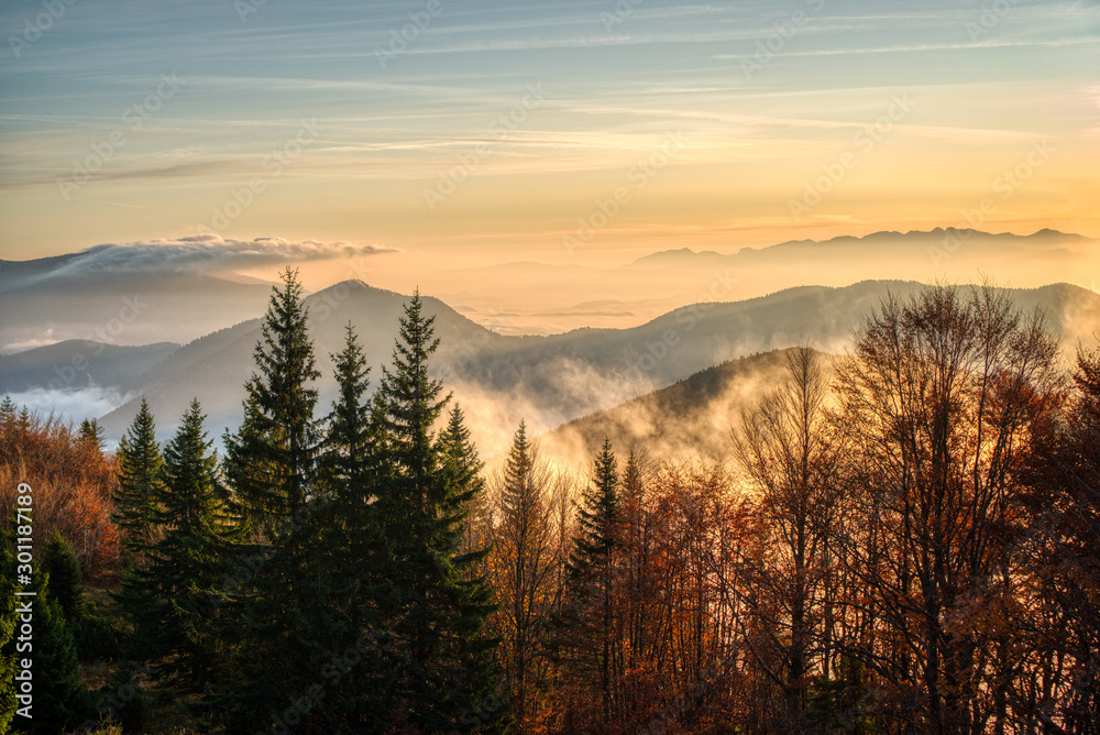 forest with mountains and fog beautifully illuminated at sunrise