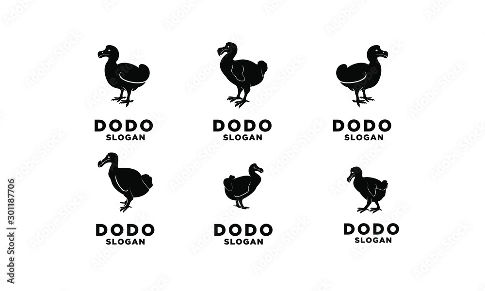 Obraz premium set of dodo bird logo black icon design vector