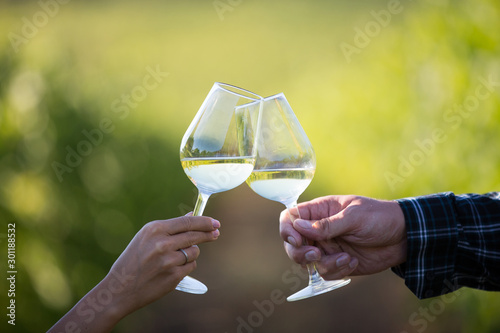 Pair of wineglasses against each other in vineyards