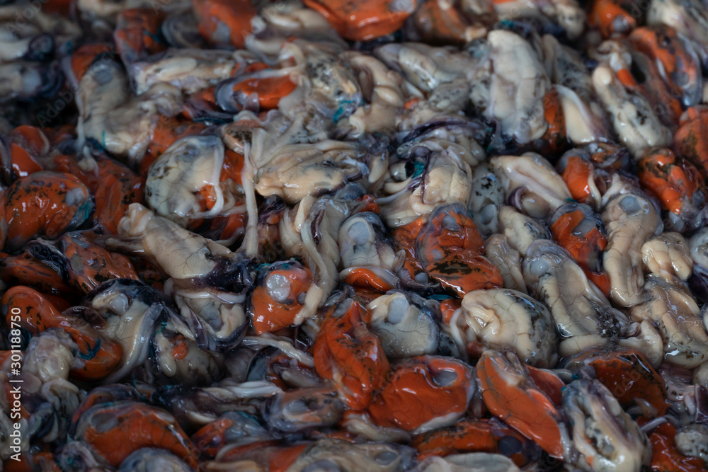 Shelled mussels and put the pile together to prepare for cooking. Shelled mussels and put the pile together to prepare for cooking.