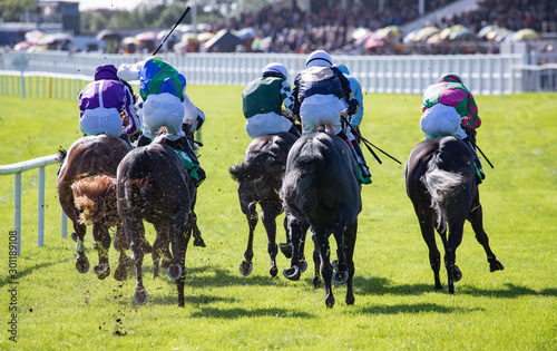 Horse racing action, view from behind of race horses and jockeys spinting towards the finish line