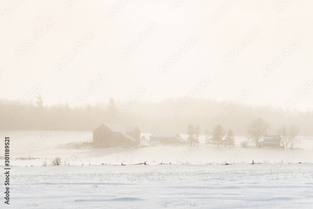 A farm and barn in a open field with forest behind are obscured by a snow squall in warm, golden light